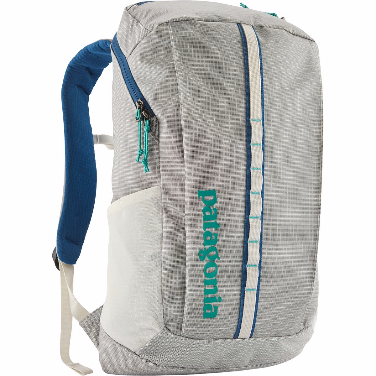 Patagonia Black Hole 25L