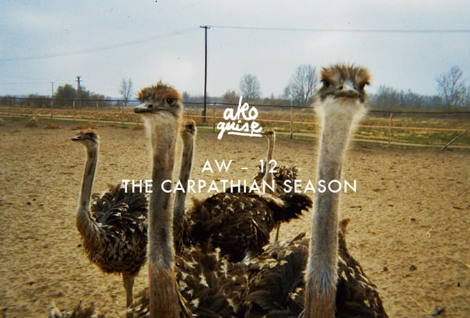 A Kind Of Guise AW12