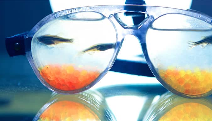 Gentle Monster Glasses Collection