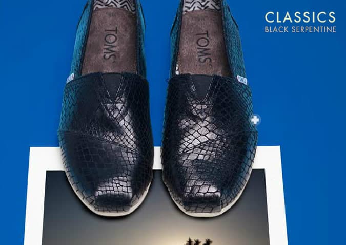 TOMS+ Spring 2013