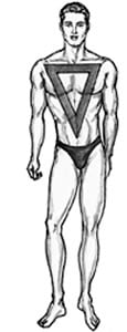 Inverted Triangle Body Shape