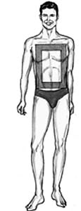 Rectangle Body Shape