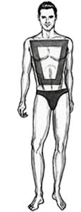 Trapezoid Body Shape