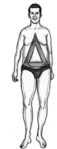 Triangle Body Shape