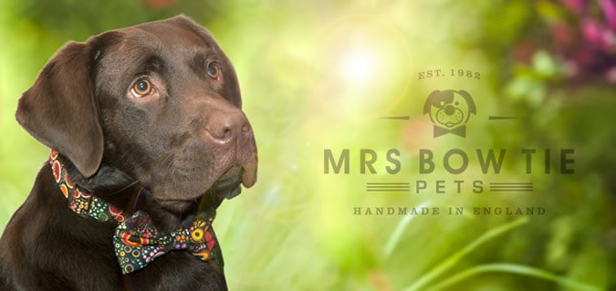 Mrs. Bowtie Dog Collar SS13 Collection