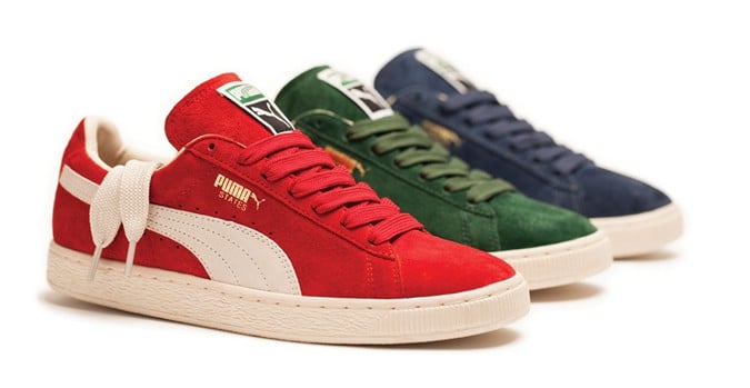 PUMA States
