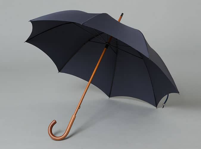 Fox Umbrellas RGS2 In Navy