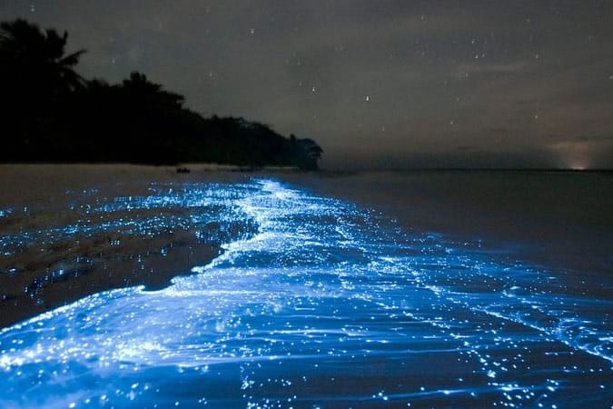 Mosquito Bay