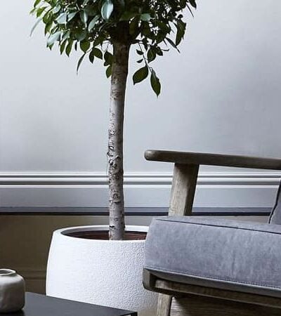 6 Rules For Making Your Home Look Better