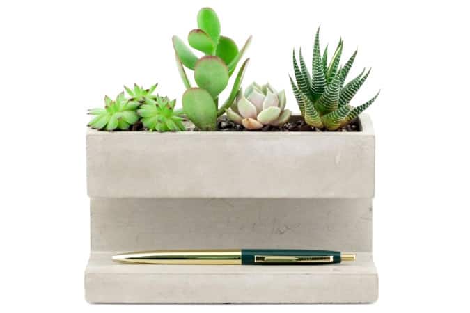 Kikkerland Concrete Desktop Planter