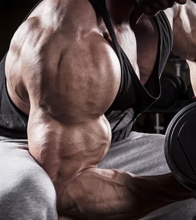 The Right Way To Build Big Arms