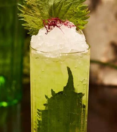 Cocktail Recipe: Shiso Leaves
