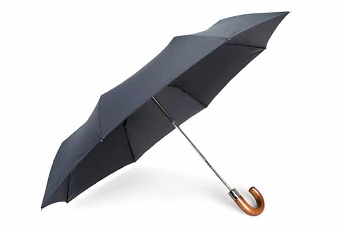 Navy Wooden Handle Umbrella
