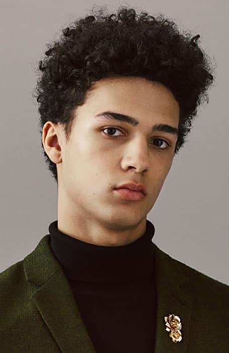 Men's Afro Hair
