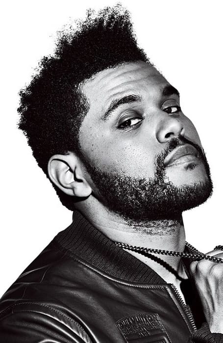 Men's Afro Hair