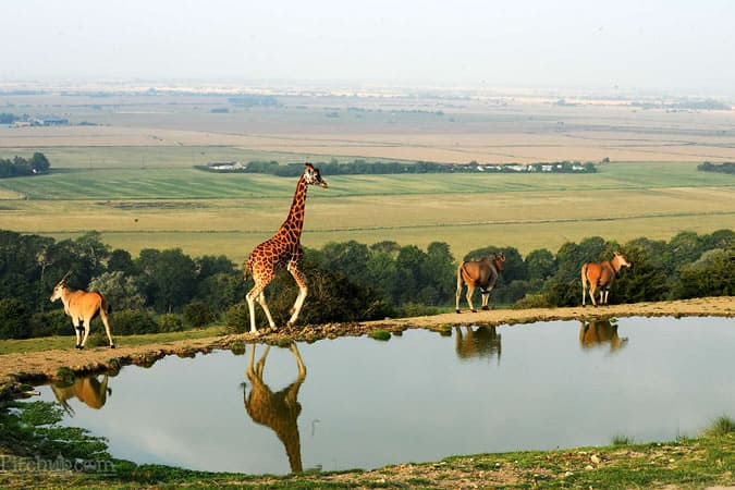 Port Lympne
