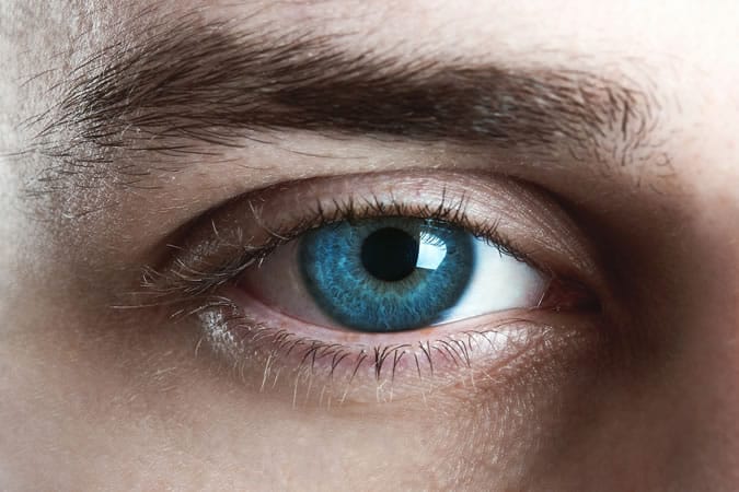 Eyes