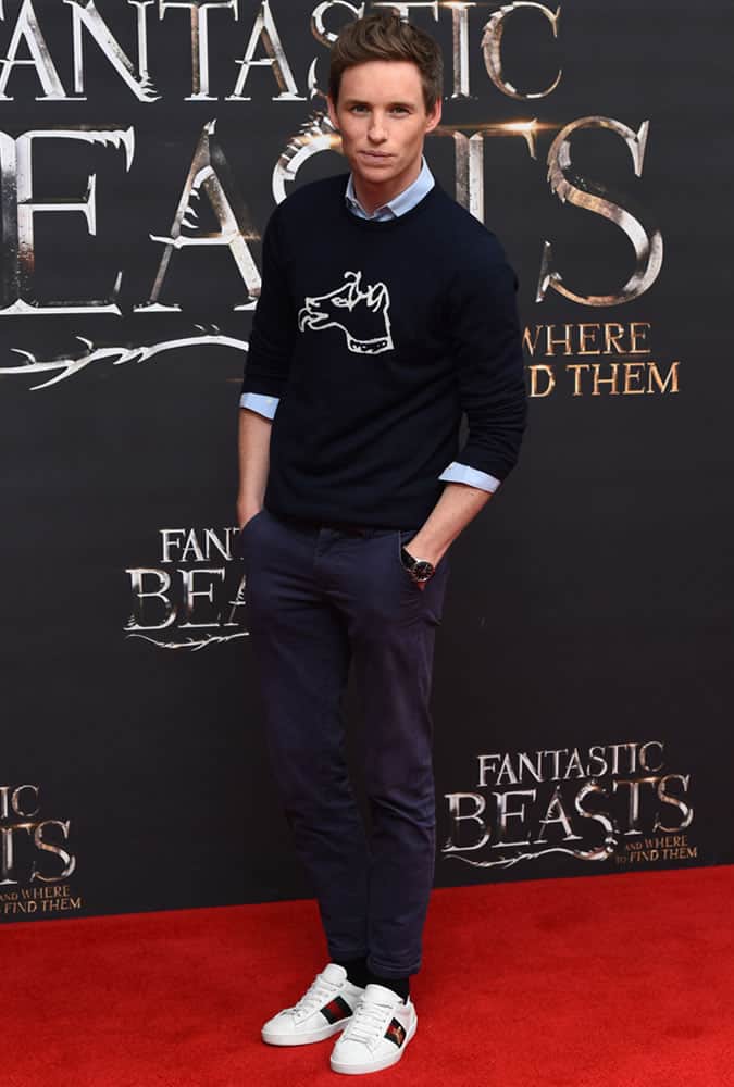 Eddie Redmayne Dog Jumper