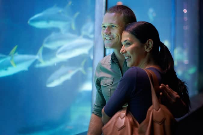 Couple at Aquarium