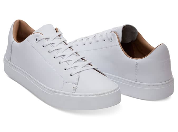 Toms Lenox Low Top Sneakers