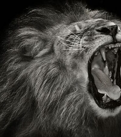 How To Be An Alpha Male In 2026
