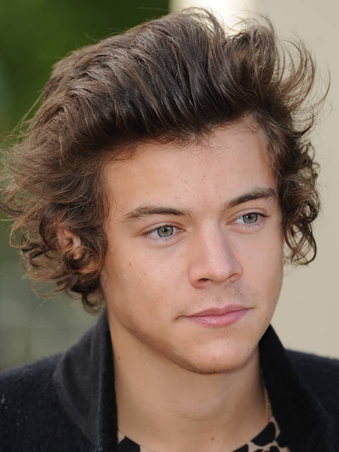 Harry Styles Haircut