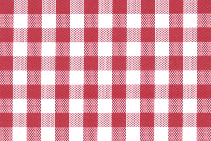 Gingham Check