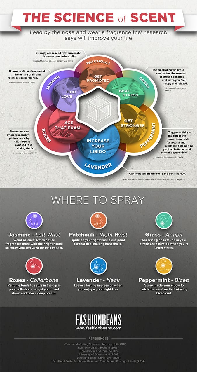 The Science Of Scent Infographic