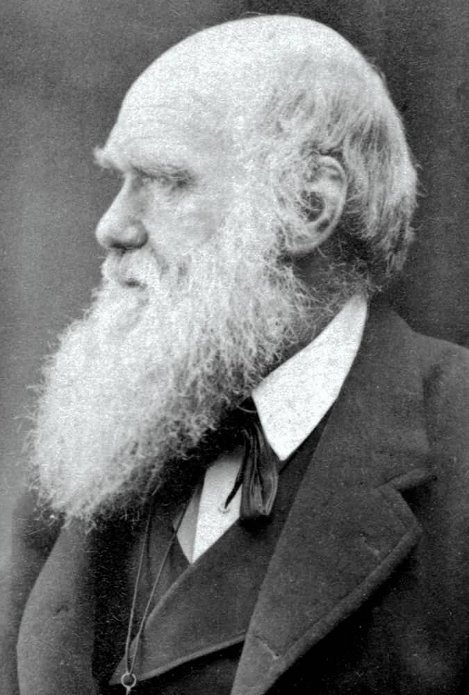 Charles Darwin