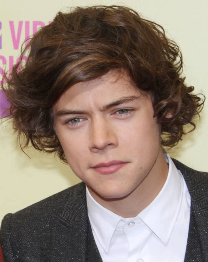 Harry Styles Best Hairstyles