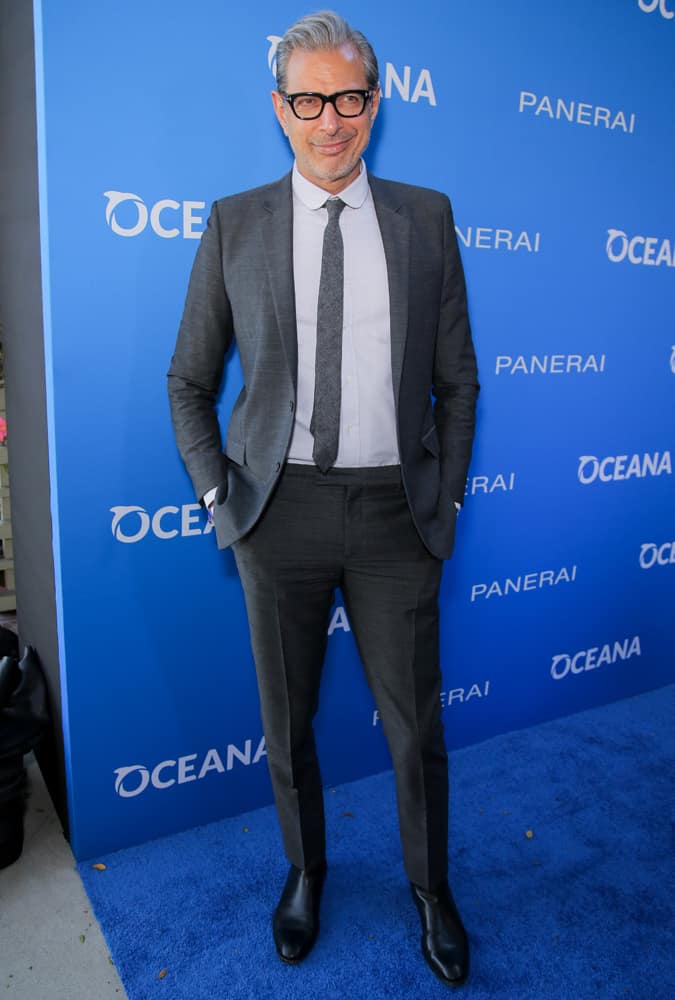 Jeff Goldblum Tailoring