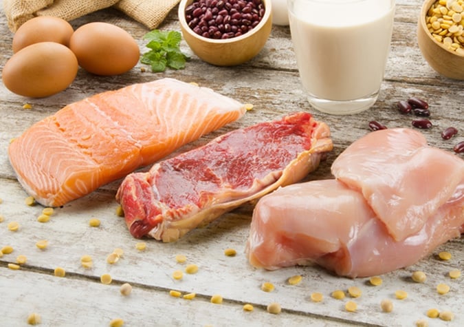 Meat fish protein sources
