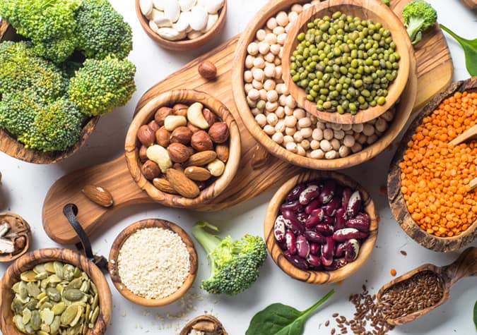 Plant based protein sources