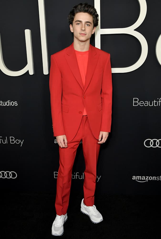 Timothée Chalamet