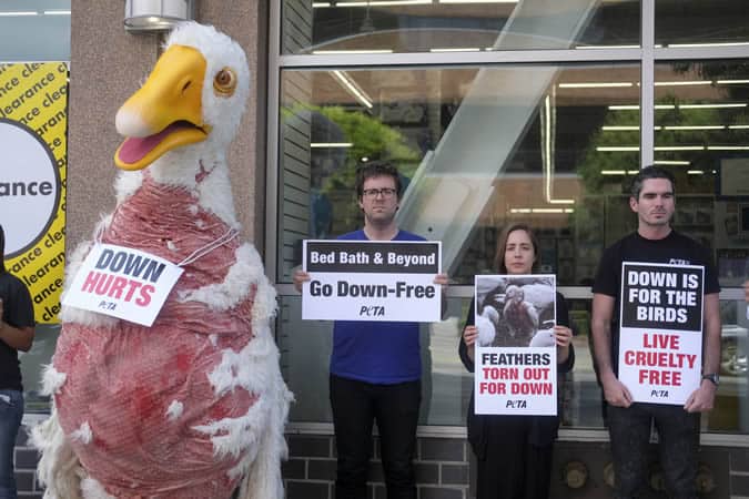 PETA Supporters Protesting