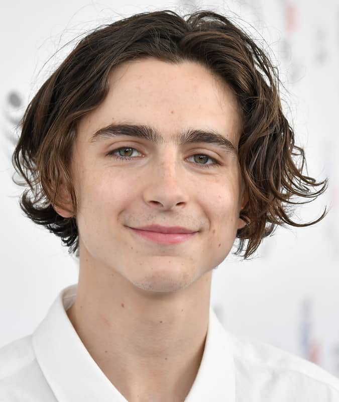 Timothée Chalamet iconic curtain haircut