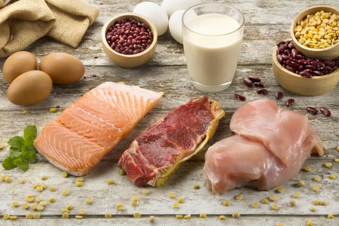 Protein sources