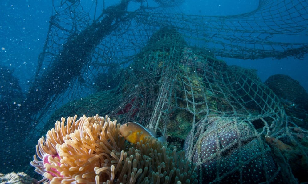 Fishing Nets Used To Make Coats