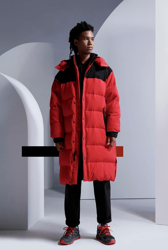 the north face