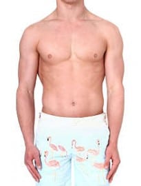 Orlebar Brown Konstantin Bulldog Flamingo-print Swim Shorts