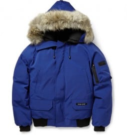 Canada Goose Chilliwack Coyote-trimmed Down-filled Bomber Jacket