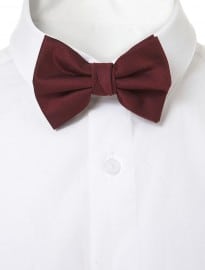 Topman Port Textured Bow Tie