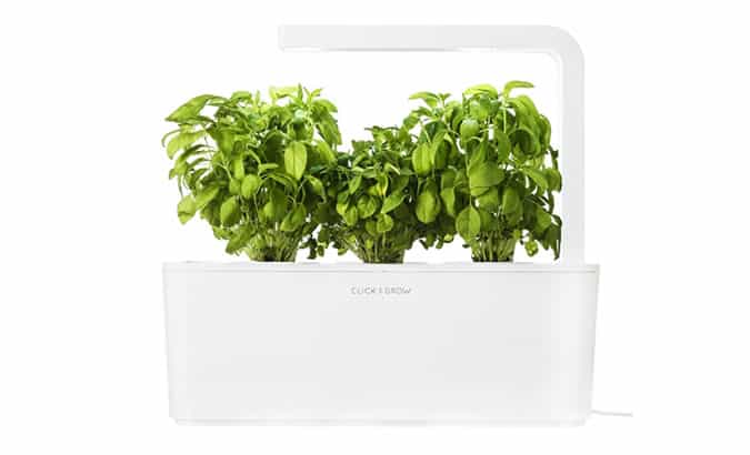 Click & Grow Herb Garden
