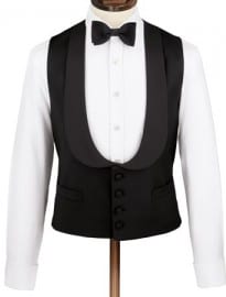 Slim Fit Dinner Suit Waistcoat