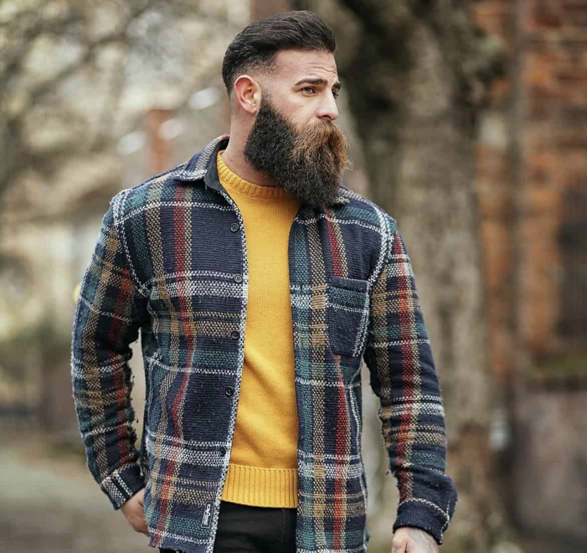 Long Beard Styles