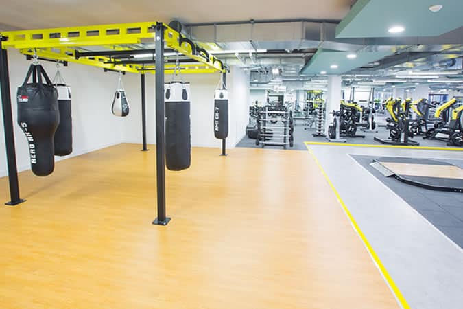 Alex Fitness