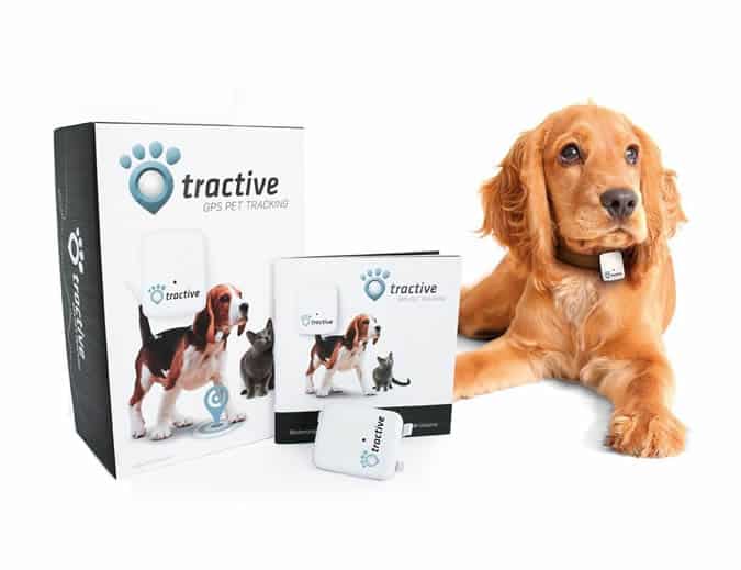 Amazon Launches Wearable Technology Store