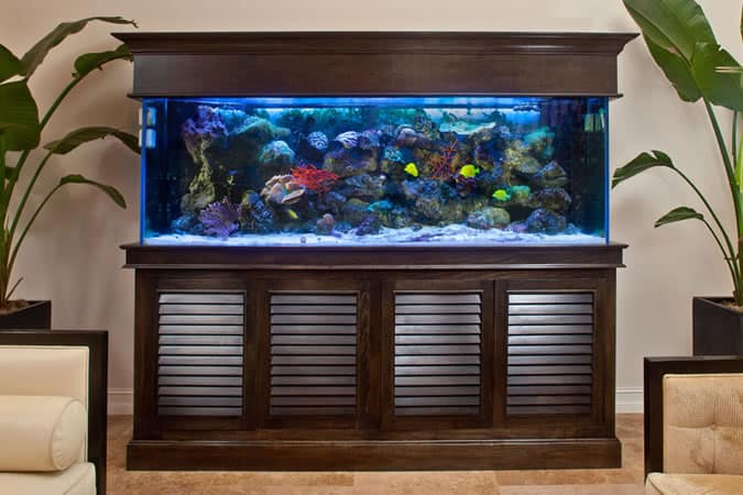 Fish tank