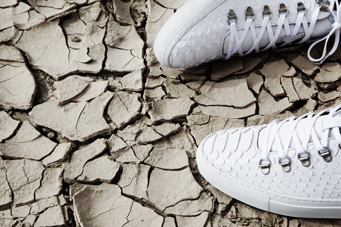 Filling Pieces White Python Trainer