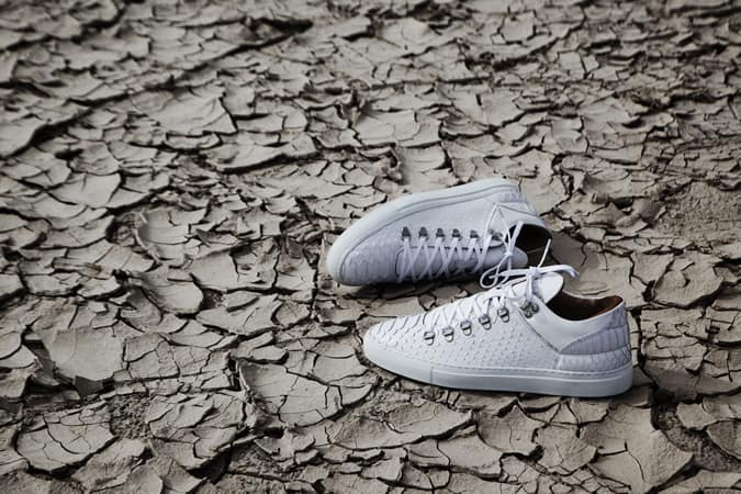 Filling Pieces White Python Trainer